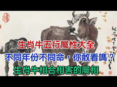 牛五行屬性|【屬牛的五行】牛牛快來瞧！你的五行屬性是什麼？十二生肖五行。